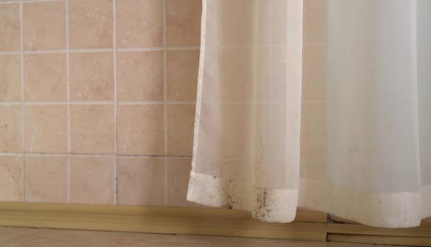 Best Mold-Related Health Consultation  in Lambertville, MI