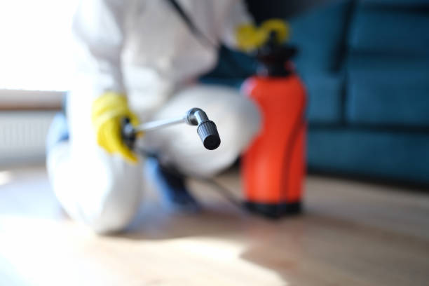 Best Mold Remediation for Healthcare Facilities  in Lambertville, MI