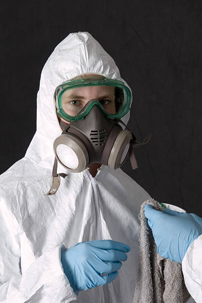 Best Environmental Consulting for Mold Prevention  in Lambertville, MI